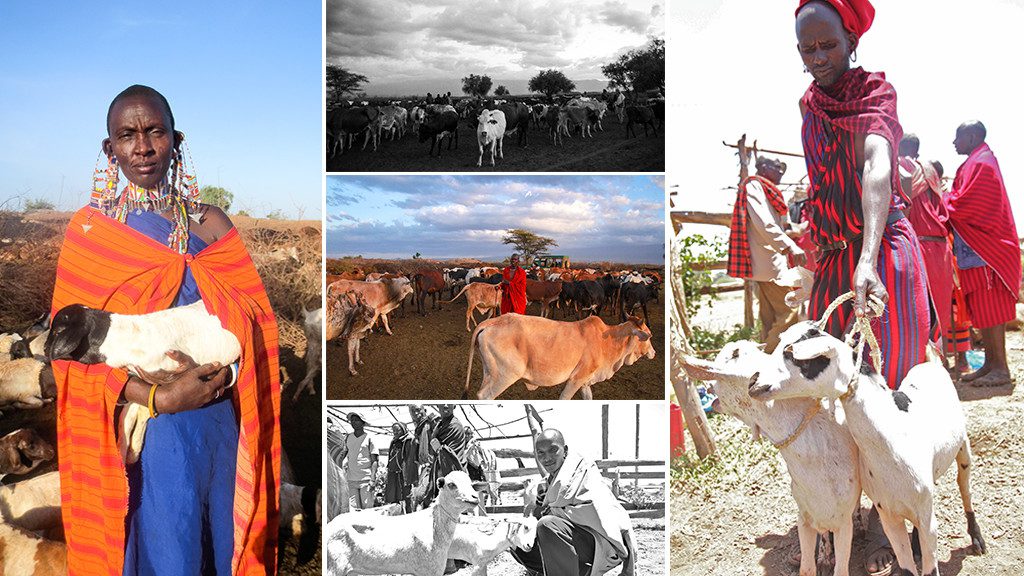 Kenyan Holding Goat